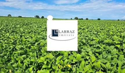 Fazenda para venda na região de Itabera-SP com 998 hectares sendo 750 hectares agricultáveis, benfeitorias, ao lado da cidade
