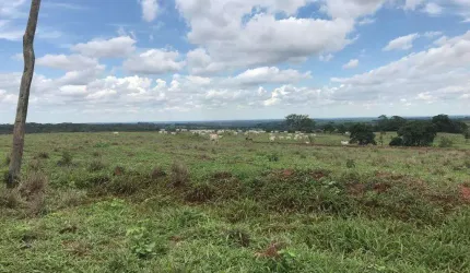 Fazenda para venda na região de Jales-SP com 81 alqueires na pecuária, completa em benfeitorias, rica rem agua
