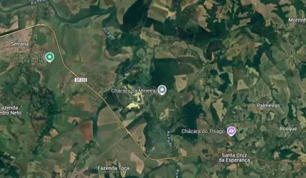 Fazenda dupla aptidao para venda na região de Serrana-SP com 104 alqueires, cana e pastagem, rica em agua, beira de rio