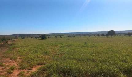 Fazenda para venda na região de Ribas do Rio Pardo-MS com 493 alqueires montada na pecuária, rica em agua e ótima localização