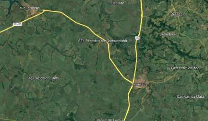 Sitio para venda na região de Ituverava-SP com 16 alqueires, 100% aproveitamento, sendo 16 alqueires em cana arrendada, ótimo arrendamento