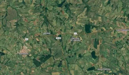 Fazenda para venda na região de Auriflama-SP com 64 alqueires sendo 54 alqueires em cana arrendada, beira do asfalto, benfeitorias