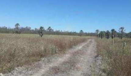 Fazenda para venda em Cotegipe-BA com 2.500 hectares, terra plana, no aquifero, pode rodar pivô