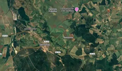 Sitio tripla aptidao para venda em São Simao com 17 alqueires sendo 10 alqueires em cana mais pastagem, benfeitorias, ideal para incorporação