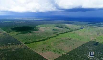 Fazenda dupla aptidao para venda na região de Duere-TO com 1.339 hectares, excelente logística, benfeitorias, rica em agua, terra preta de cultura