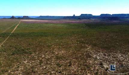 Fazenda dupla aptidao para venda em Rio da Conceição-To com 1.800 hectares, toda cercada, rica em agua, córrego na propriedade