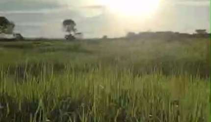 Fazenda dupla aptidao para venda na região de Cariri do Tocantins-TO com 998 hectares, toda aberta, excelente argila e benfeitorias