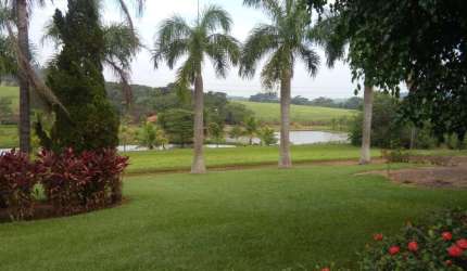 Lindo sitio de cinema para venda na região de Cajuru-SP, com 26 alqueires, varias aptidões, cana mais pasto, benfeitorias, proximo da cidade