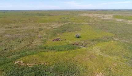 Fazenda na pecuaria para venda no Pantanal na região de Caceres-MT com 87.000 hectares, rica em agua e muitas benfeitorias