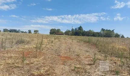 Sitio para venda em Santo Antonio da Alegria-SP, com 9,97 alqueires, planta 8 alqueires, casa sede, de funcionários, barracão e minas de agua