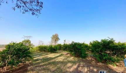 Excelente sitio múltipla aptidão para venda na regiao de Jaboticabal-SP, com 8,20 alqueires sendo 6 alqueires para lavoura, bom de agua, corrego na pr