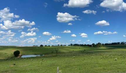 Fazenda para venda na região de Tupa-SP, com 130 alqueires na pecuária, beira rodovia, ótima em benfeitorias, pode plantar 75%