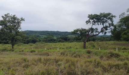 Sitio para venda em Ituverava-SP, com 2,34 alqueires na beira da rodovia, area ideal para grandes empresas, transportadoras ou usina solar