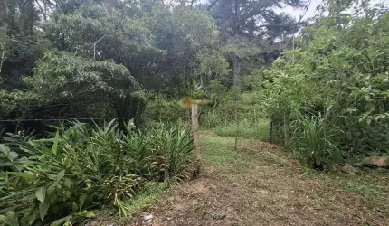 Terreno para Venda em Teresópolis, Córrego das Pedras