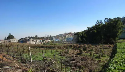 Terreno à venda, 14900 m² por R$ 9.000.000,00 - Jardim São João (Zona Norte) - São Paulo/SP
