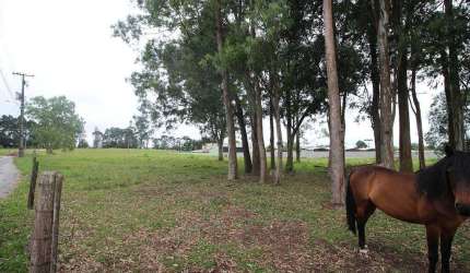 Terreno com 6.085,4m² , para aluguel, no bairro Quississana em São José dos Pinhais