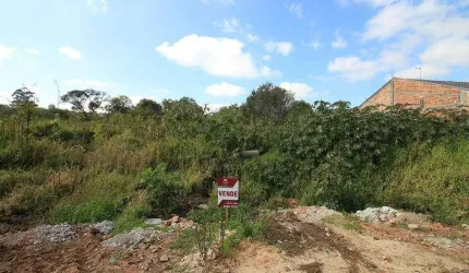 Terreno com 585m² , à venda, no bairro Eucaliptos em Fazenda Rio Grande