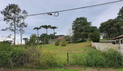 Terreno com 2.000m² , para aluguel, no bairro Colônia Murici em São José dos Pinhais