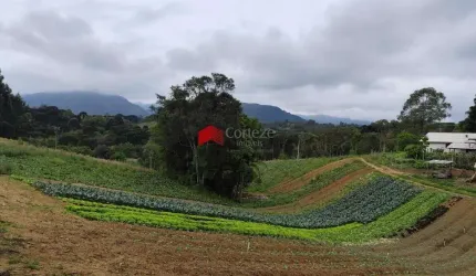 Chácara de 20.000 metros em Tijucas do Sul