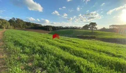 Chácara com 114.345m² , à venda, no bairro Colônia Murici em São José dos Pinhais