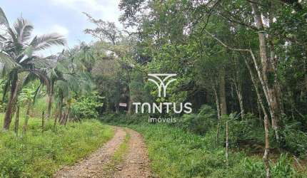 Terreno à venda, 21196 m² por R$ 170.000,00 - Sambaqui - Morretes/PR