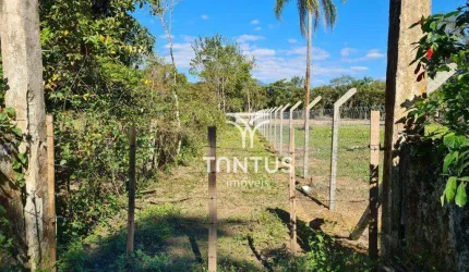 Terreno à venda, 294131 m² por R$ 790.000,00 - Barreiros - Morretes/PR