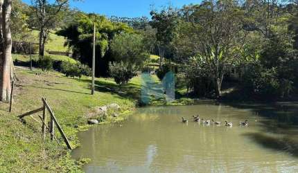 Lindo Sitio no Caminho do Mar