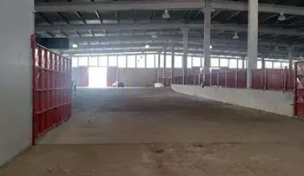 Excelente Galpão com 7000m² de área construída e 145.000m² de terreno de Frente para Via Dutra