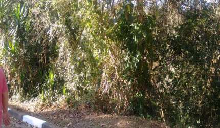 Terreno Pirucaia Mairiporã/SP