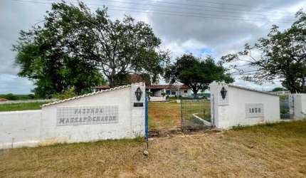 VERAS VENDE FAZENDA HISTÓRICA MASSAPÊ GRANDE - EM MADALENA-CE