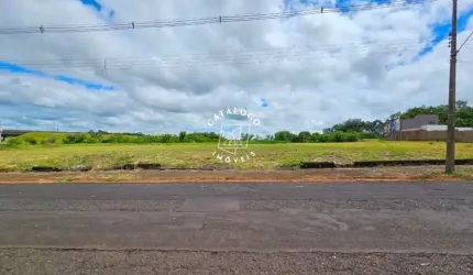 Terreno à venda na Avenida Professor Mário Autuori, City Ribeirão, Ribeirão Preto, 1500 m2 por R$ 1.200.000