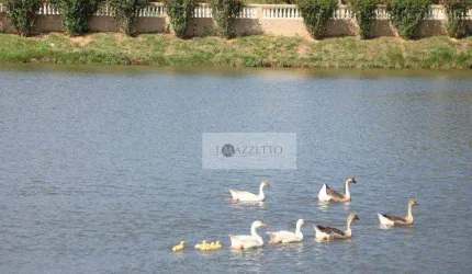 Casa com 5 dormitórios à venda, 682 m² por R$ 1.600.000,00 - Condomínio Fechado Village Zuleika Jabour - Salto/SP