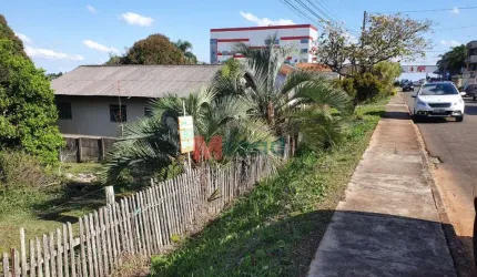 TERRENO PADRÃO  EM UVARANAS