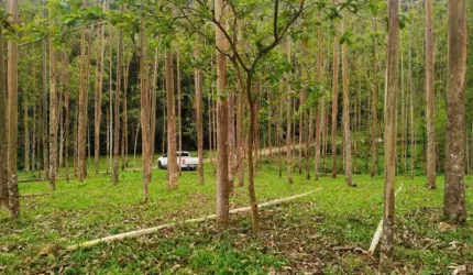 Terreno comercial à venda no Dom Joaquim, Brusque  por R$ 990.000