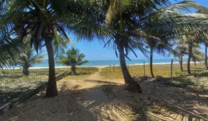 Apartamento à venda em Itacimirim, Camaçari-BA: 3 quartos, 2 suites, 1 sala, 2 banheiros, 1 vaga e 65m². Venha conferir!