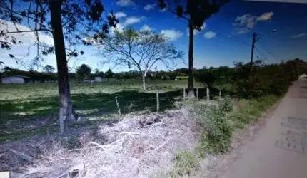 Terreno para Venda - 0m², 0 dormitórios, Lageado