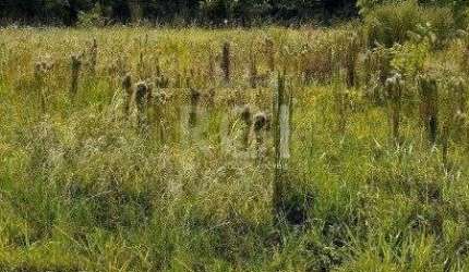 Terreno para Venda - 0m², 0 dormitórios, Hípica