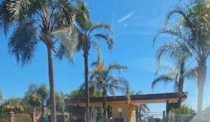 Terreno à venda, 780 m² por R$ 330.000,00 - Condomínio Residencial Ana Carolina - Cravinhos/SP