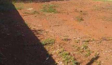 Terreno à venda, 1500 m² por R$ 740.000,00 - Jardim Anhangüera - Ribeirão Preto/SP