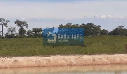 Espetacular fazenda  para plantação de arroz ou soja  localizada no Vão Paraná Estado de Goiás