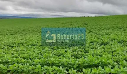Fazenda à venda com 135 alqueires goiano