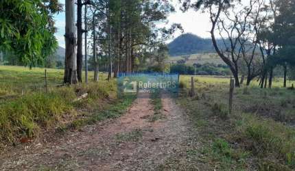 FAZENDA DE 57 HECTARES EM RIBEIRÃO BONITO/SP