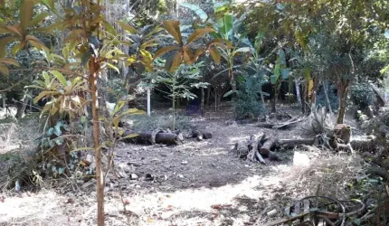 area venda ou incorporaçao