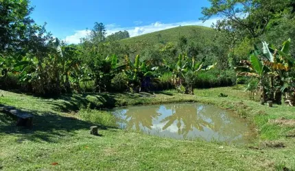 Sítio à Venda em São Luiz do Paraitinga-SP  Bairro do Turvo  sala, cozinha, 1 quarto, 1 banheiro, 4.100,00 m2 de área