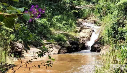 Sítio para Venda em Teresópolis, Colônia Alpina, 2 dormitórios, 1 suíte, 2 banheiros