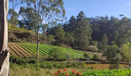 Sítio para Venda em Teresópolis, Vieira