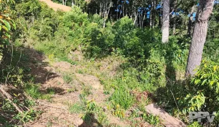 Lote em Condomínio Fechado para Venda em Teresópolis, Prata