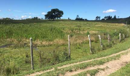 Fazenda para Venda em Araruama, Monteiro (São Vicente), 4 dormitórios