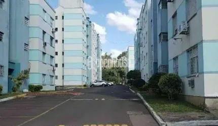 Apartamento de 51m² com 2 Dormitórios 1 vaga