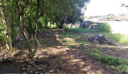 Terreno no Partenon com 494m² plano